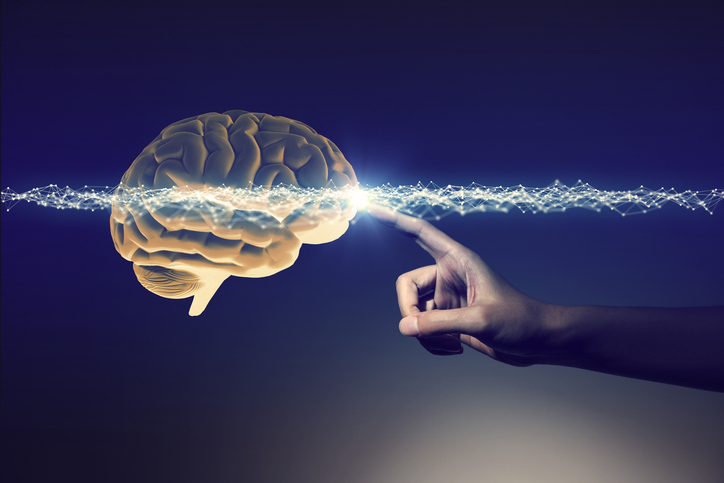 Neurociencia aplicada a la educación (Autoestudio) HAB-NEUAPEDU-C